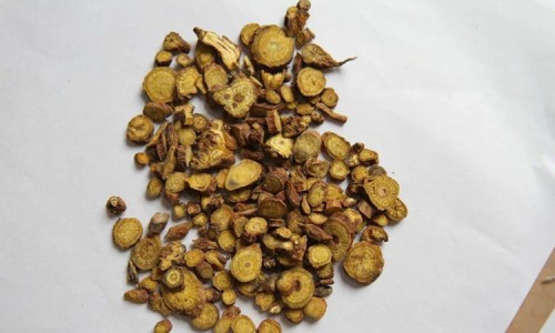 黄麻根功效与作用-麻黄根根的功效与作用专区_黄麻根的作用专区_黄麻根功效网
