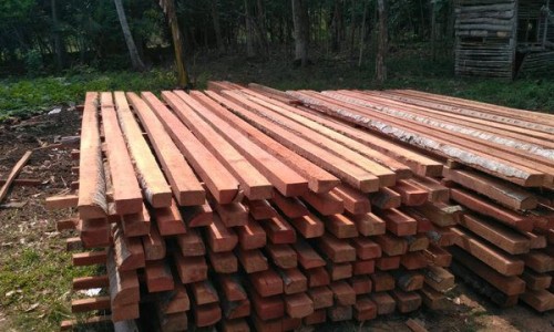 黄麻根功效与作用-麻黄根根的功效与作用专区_黄麻根的作用专区_黄麻根功效网
